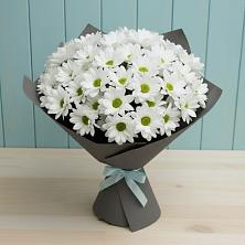 Букет цветов из:  Хризантемы в Ардатове Нижегородской области
