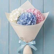 Букет цветов из:  Гортензия в Ардатове Нижегородской области