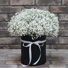 Цветочная композиция из Гипсофила в шляпной коробке в Ардатове Нижегородской области
