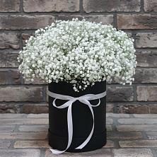 Цветочная композиция из Гипсофила в шляпной коробке в Ардатове Нижегородской области